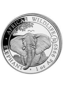 Somalia 2021 Elefant   Privy Ochse1 oz Silber