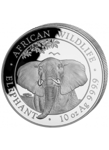 Somalia 2021  Elefant 10 oz Silber