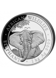 Somalia 2021  Elefant  Silber 1 Kilo  