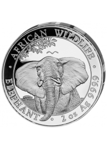 Somalia 2021   Elefant   2 oz  Silber