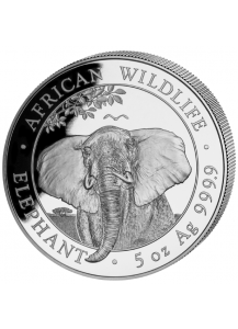 Somalia 2021  Elefant  5 oz Silber