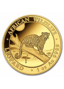 Somalia 2021  Leopard  Gold 1 oz