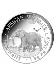 Somalia 2022  Elefant 1 Kilo Silber