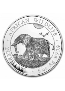 Somalia 2022  Elefant  5 oz Silber