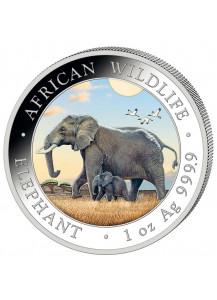 Somalia 2022  Elefant 1 oz Silber FARBE