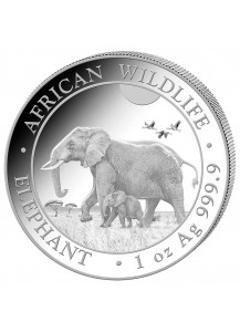Somalia 2022  Elefant 1 oz Silber
