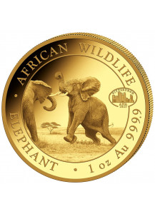 Somalia 2023  Elefant Privy  ANA  Pittsburgh  1 oz Gold