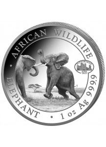 Somalia 2023  Elefant Privy  ANA  Pittsburgh  1 oz Silber