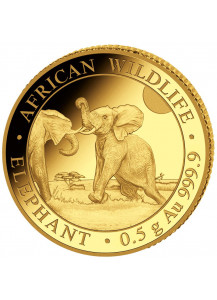 Somalia 2024   Elefant    Gold 0,5 g