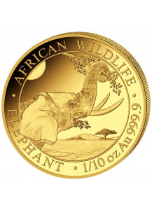 Somalia 2023  Elefant  Gold 1/10 oz