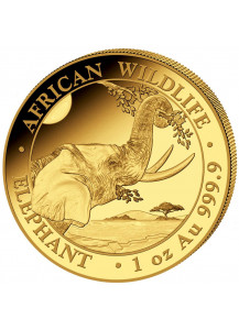 Somalia 2023  Elefant  Gold 1 oz