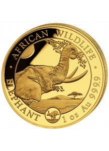 Somalia 2023   Elefant Privy  HASE 1 oz Gold Auflage 100 Stück