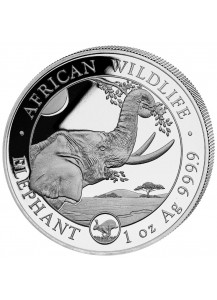 Somalia 2023 Elefant   Privy Hase  1 oz Silber