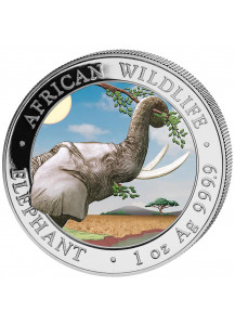 Somalia 2023  Elefant 1 oz Silber FARBE