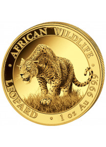 Somalia 2023  Leopard  Gold 1 oz