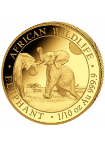 Somalia 2024  Elefant  Gold 1/10 oz