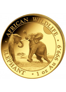 Somalia 2024  Elefant  Gold 1 oz