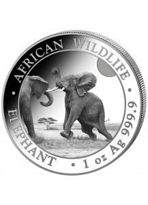 Somalia 2024  Elefant 1 oz Silber