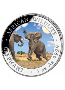 Somalia 2024  Elefant 1 oz Silber  FARBE