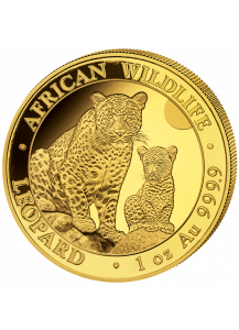 Somalia 2024 Leopard  Gold 1 oz