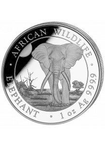 Somalia 2025  Elefant 1 oz Silber