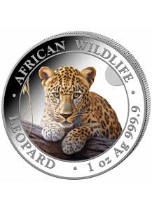 Somalia 2025  Leopard 1 oz Silber  FARBE