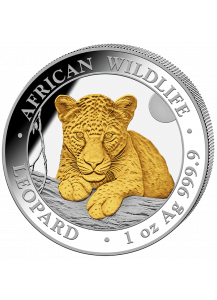Somalia 2025  Leopard 1 oz Silber  VERGOLDET