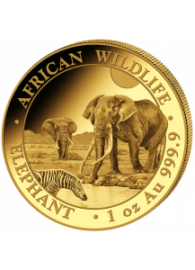 Somalia 2026  Elefant  Gold 1 oz