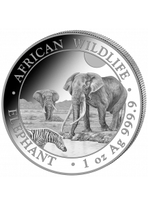 Somalia 2026  Elefant 1 oz Silber