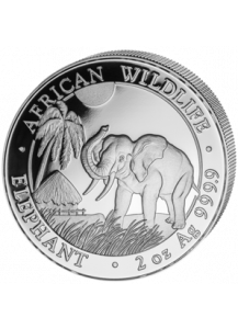 Somalia 2017   Elefant   2 oz  Silber