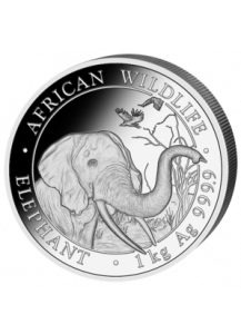 Somalia 2018   Elefant  Silber 1 Kilo  