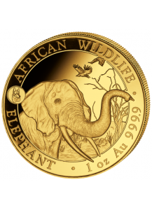 Somalia 2018   Elefant Privy Mark Hund 1 oz Gold