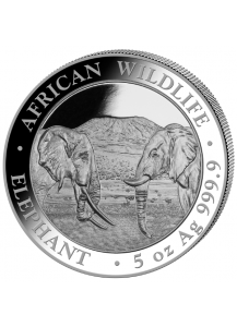 Somalia 2020  Elefant  5 oz Silber