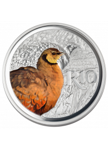 Südafrika 2018 Waterberg Biosphärenreservat Gelbkehl-Flughuhn Silber 1 oz PP