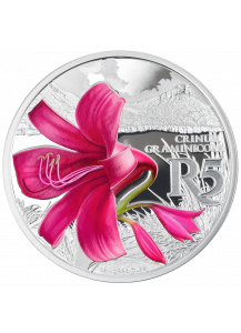 Südafrika 2018 Waterberg Biosphärenreservat Hakenlilie Silber 1 oz PP