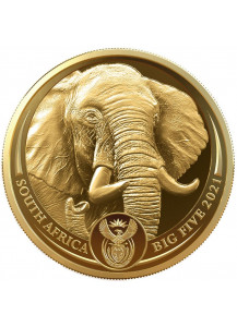 Südafrika 2021  BIG FIVE - ELEFANT Gold 1/4 oz polierte Platte