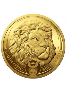 Südafrika 2022  BIG FIVE - Löwe Gold 1/4 oz polierte Platte Serie II