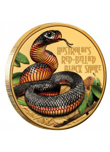 Niue 2022 RED BELLIED BLACK SNAKE Rotbauch - SchwarzotterDeadly & Dangerous Gold