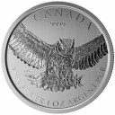 Canada 2015 Great Horned Owl - UHU  - Birds of Prey